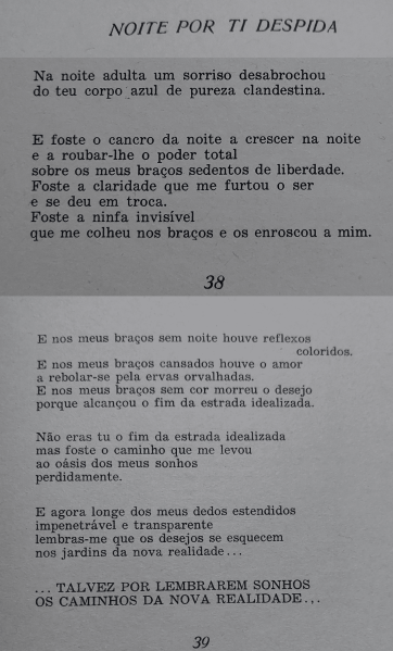 File:20240517205232!38e39noiteportidespida.png
