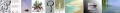 Thumbnail for version as of 21:00, 11 August 2025