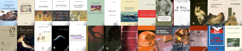 File:Casimirodebrito-capas-de-livros.png