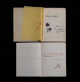 Thumbnail for version as of 21:01, 11 August 2025